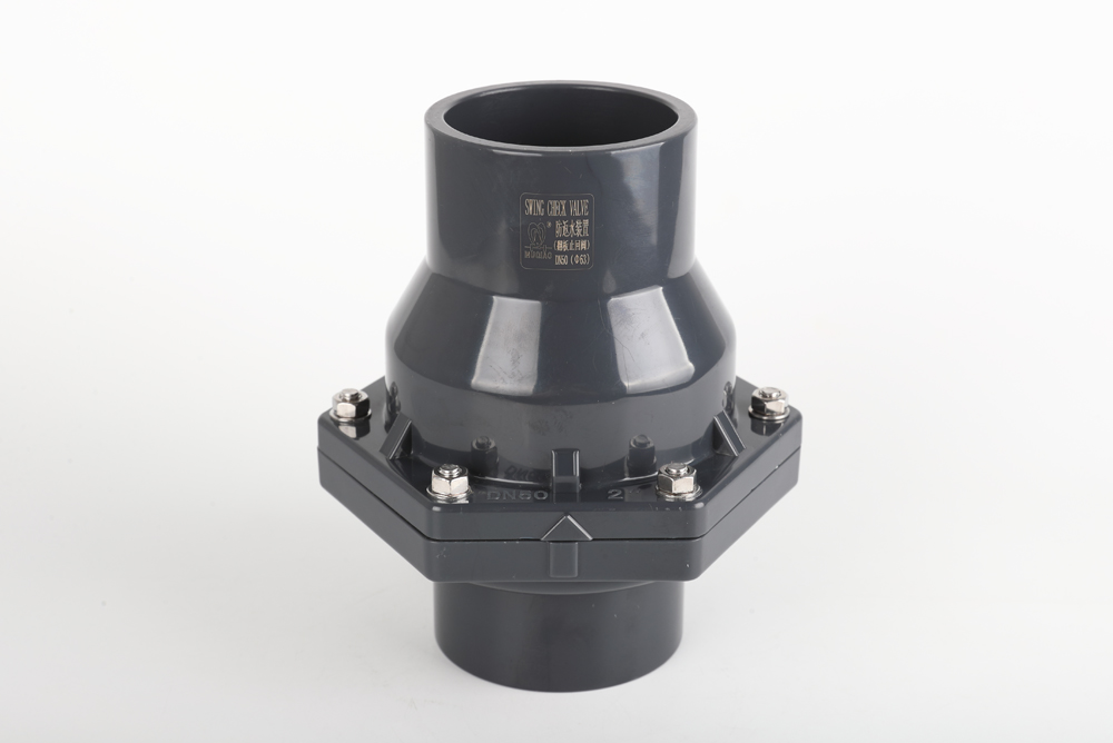 黄梅翻板式止回阀