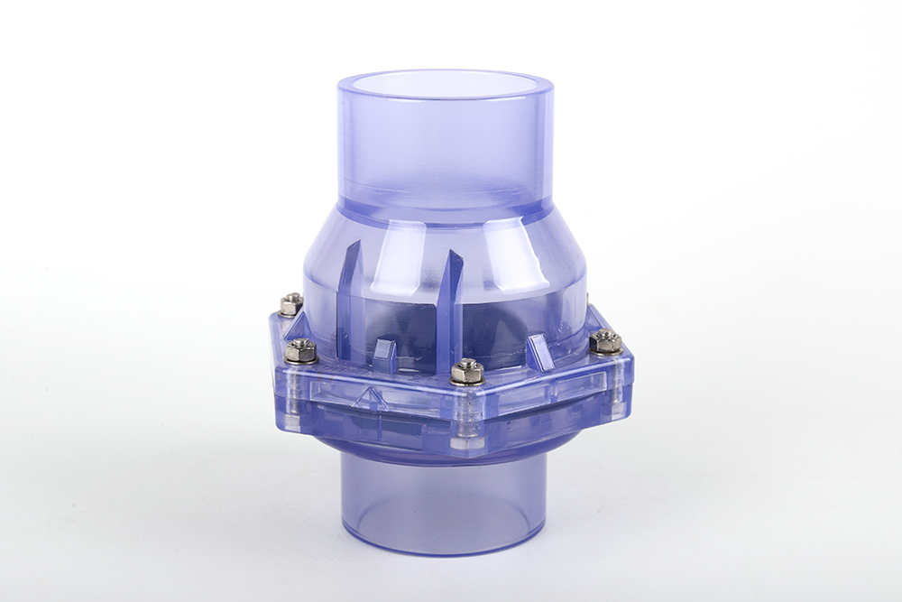 黄梅透明翻板式止回阀